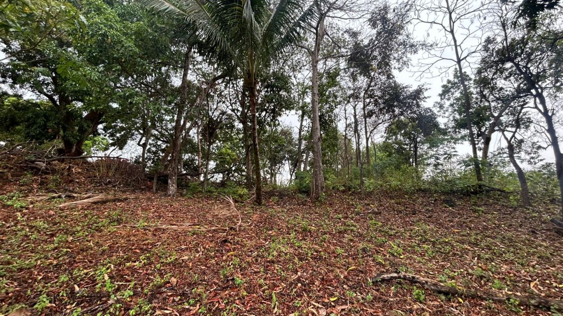 San Mateo For Sale 25251 | RE/MAX Costa Rica Real Estate