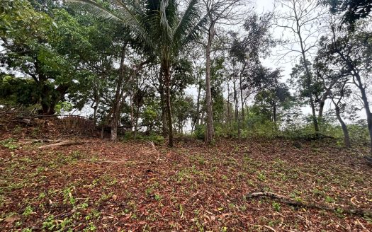 San Mateo For Sale 25251 | RE/MAX Costa Rica Real Estate