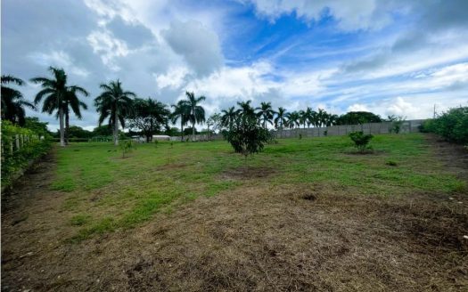 San Mateo For Sale 26784 | RE/MAX Costa Rica Real Estate