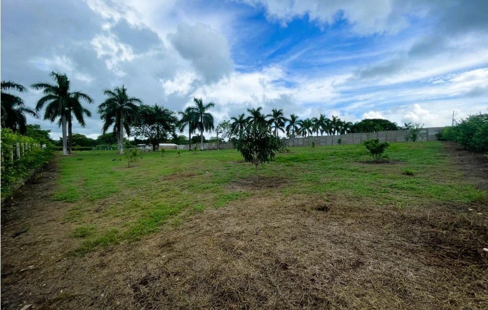 San Mateo For Sale 26784 | RE/MAX Costa Rica Real Estate