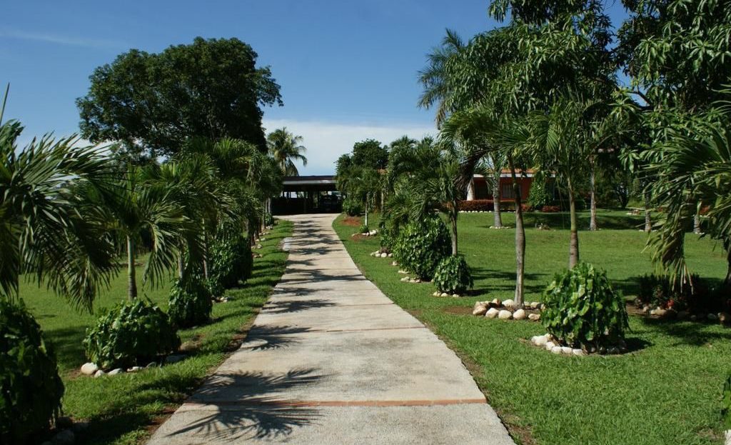 San Mateo For Sale 27045 | RE/MAX Costa Rica Real Estate