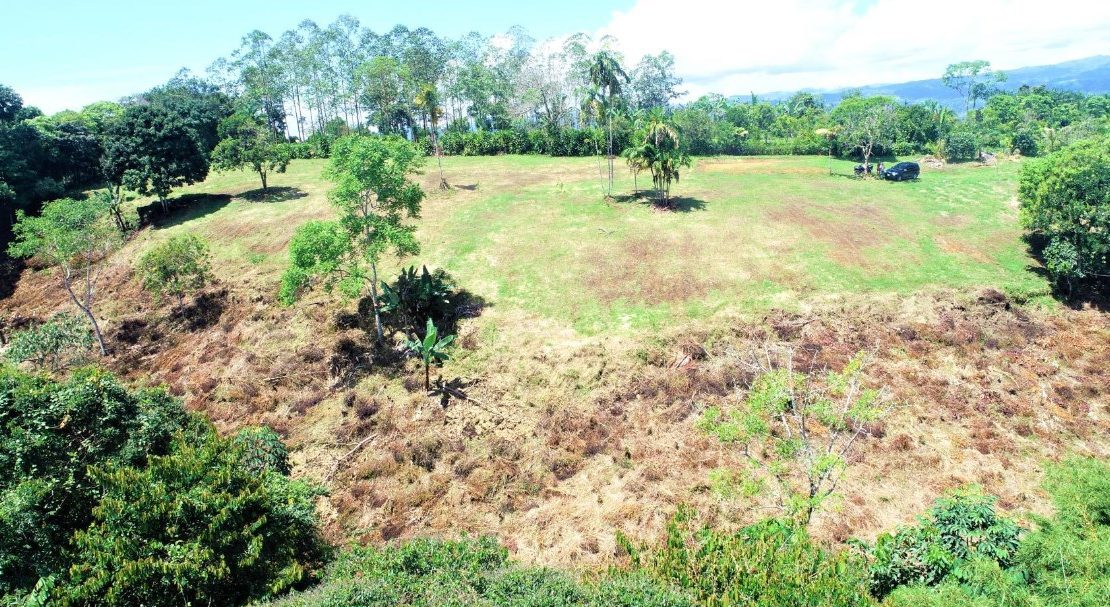Fruit Trees & Epic Views