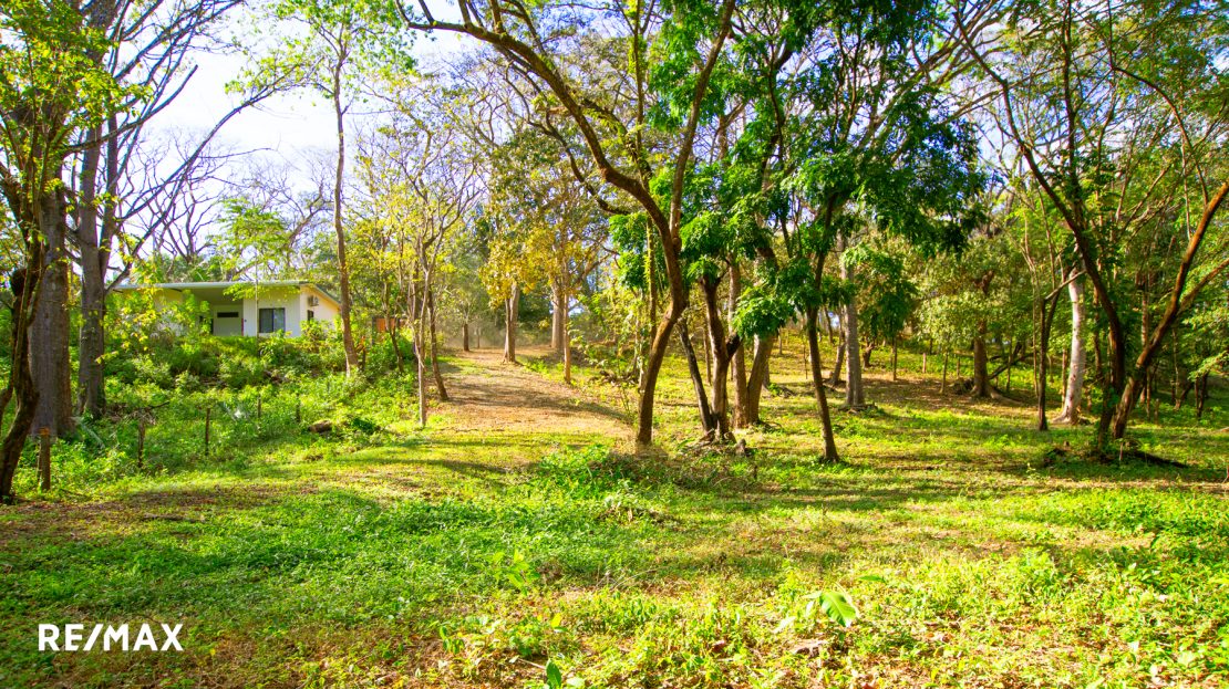 Secluded Oasis: Your Sanctuary Near Del Mar Academy Guanacaste | REMAX