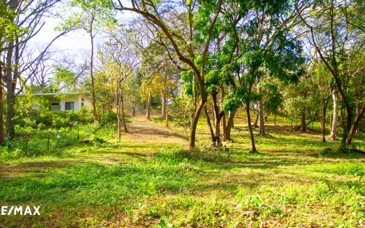 Secluded Oasis: Your Sanctuary Near Del Mar Academy Guanacaste | REMAX