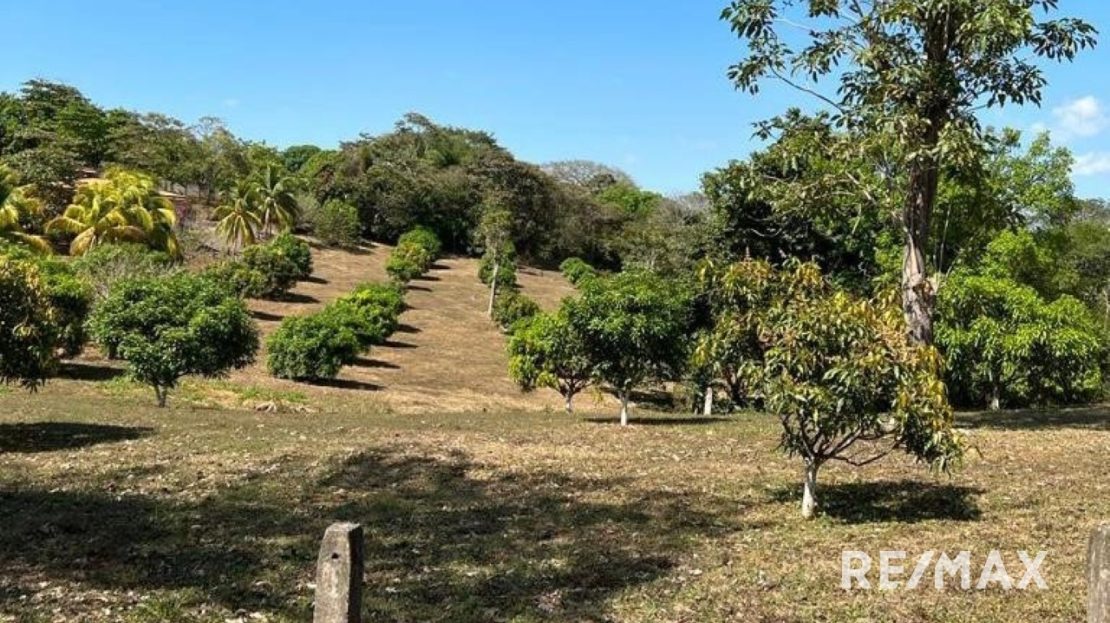 Tarcoles For Sale 25016 | RE/MAX Costa Rica Real Estate