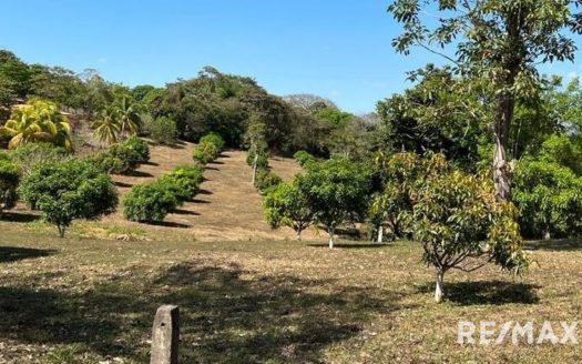 Tarcoles For Sale 25016 | RE/MAX Costa Rica Real Estate