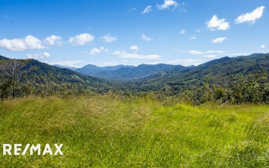 The Finca Bosque Estate