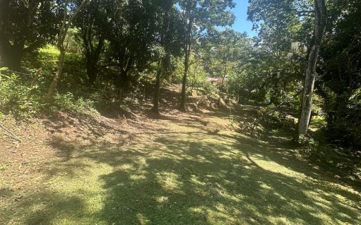 Opportunity, Property For Sale, San Pedro Turribares