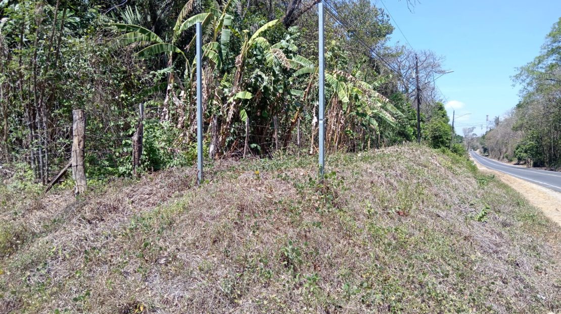 CARRETERA A NICOYA A 10 MIN DE LA CIUDAD Guanacaste | REMAX