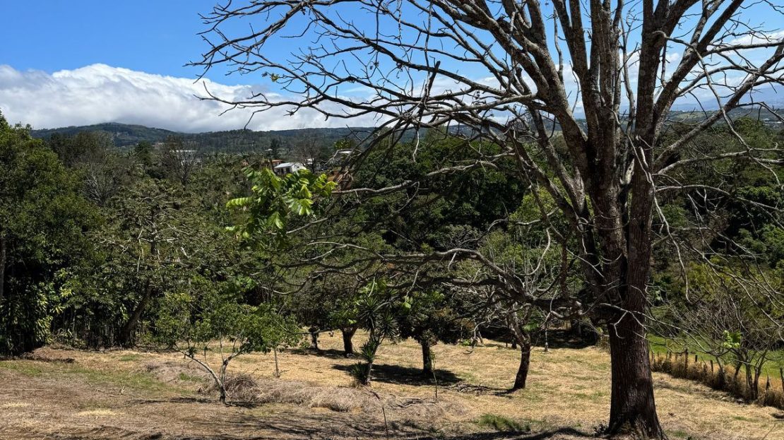 Costa Rica Real Estate