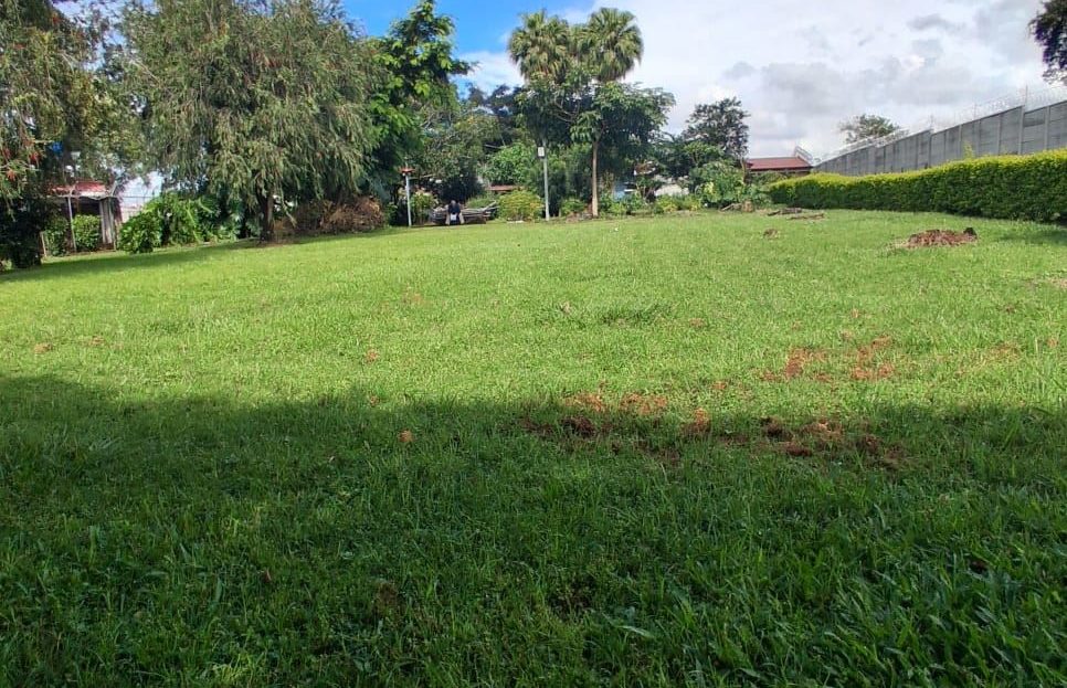 For Sale! Beautiful Lot with Mixed Land Use