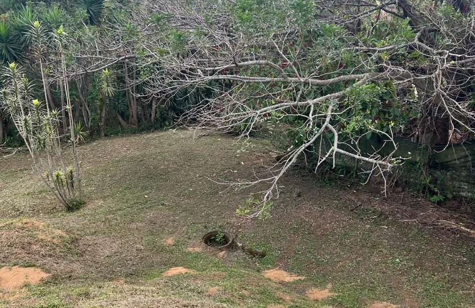 Property with valley view in Santa Bárbara de Heredia. Nature