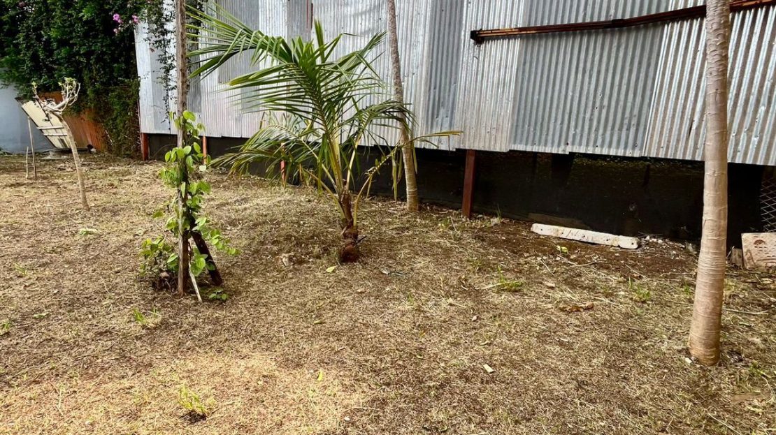 Property Ready for Development Just 200m from Oxígeno Mall