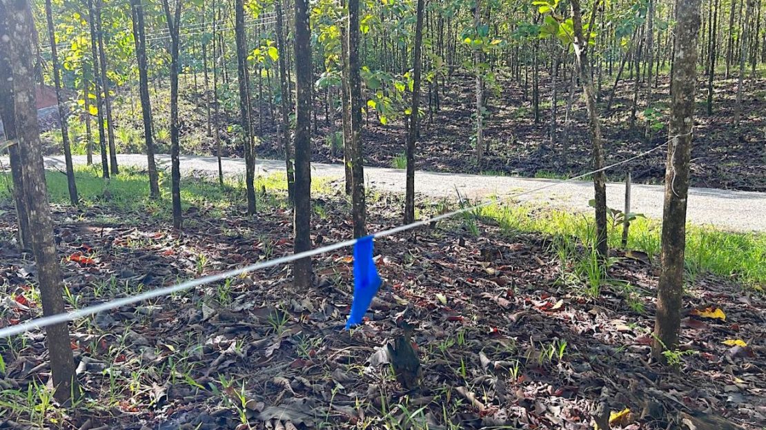 Costa Rica Real Estate