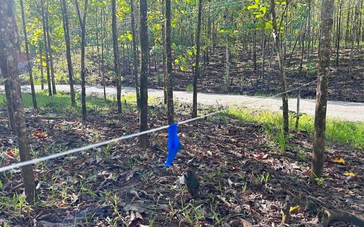 FIRE SALE | MATAPALO 1.2-ACRE BUILD-READY LOT