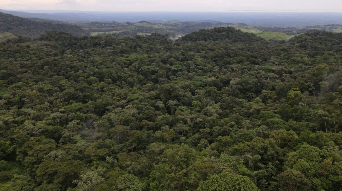 TOURISM FARM FOR SALE – RÍO CELESTE