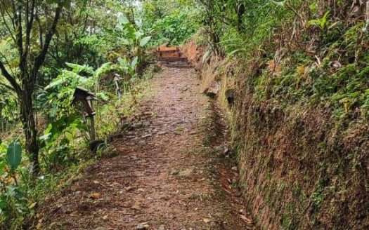 TOURISM FARM FOR SALE – RÍO CELESTE, BIJAGUA