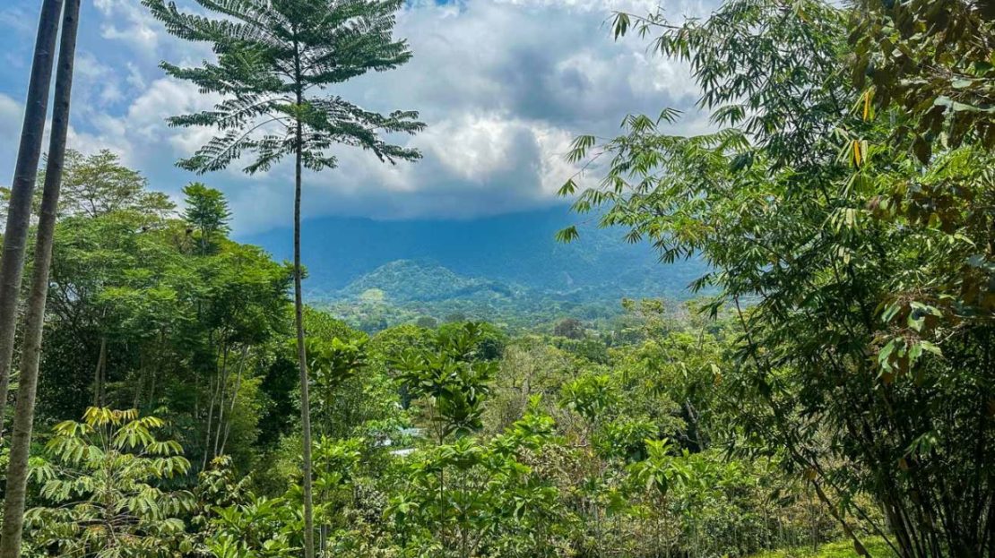 Ocean & Jungle View Lot in the Heart of Ojochal