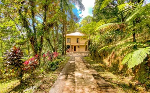 3 Bedroom Rainforest Home in Ojochal With River & Waterfall | 3.5 Acres Private