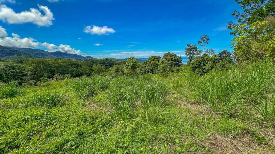 sough-after hilly neighborhood