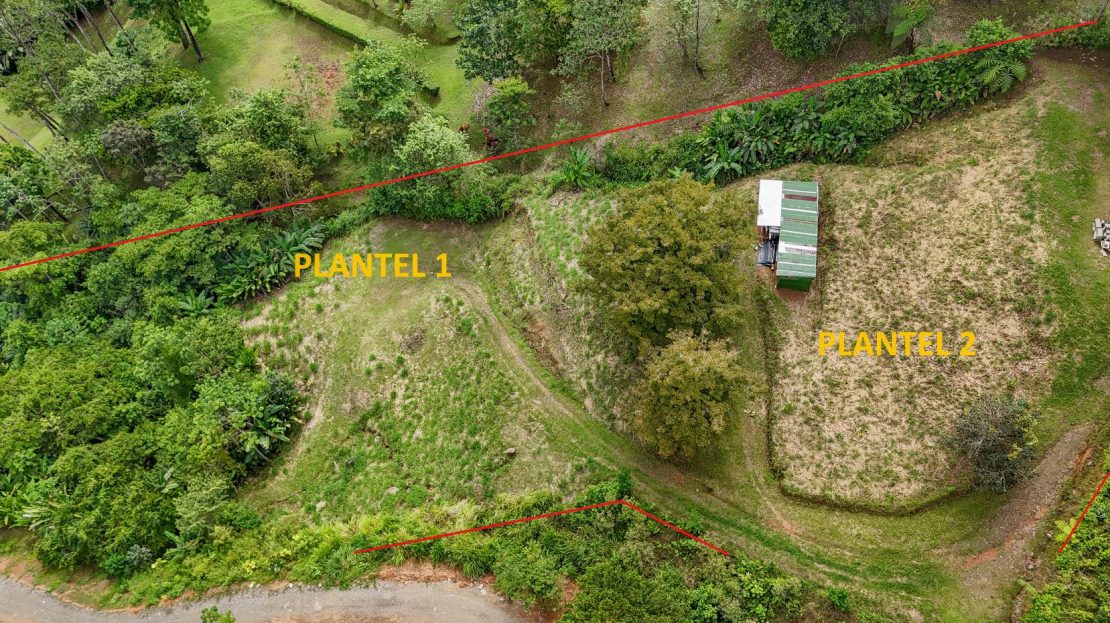 Costa Rica Real Estate