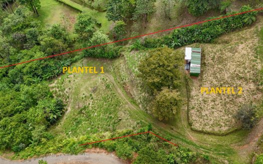 Jungle, Mountain & Valley View Lot with Two Large Plantels, Bordering a Crystal Mountain River with Swimholes & a Waterfall