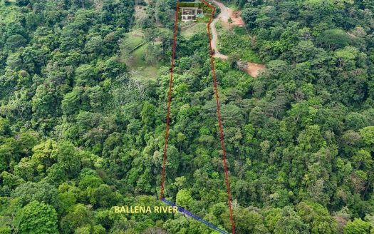 River & Waterfall Property With a BRAND-NEW Jungle-View Luxury Home