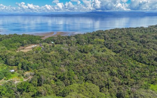 A modern, serene house 3km from the world’s top biodiversity hotspot