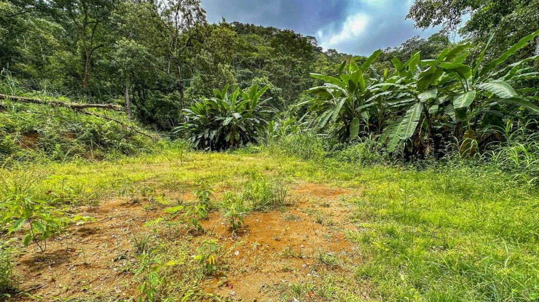 Costa Rica Real Estate