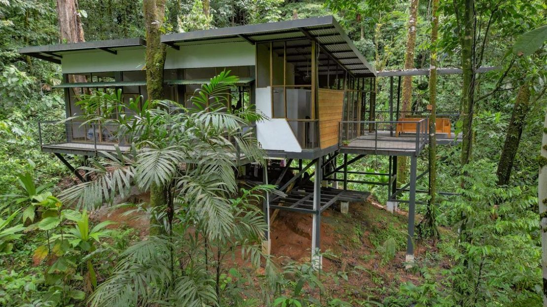 Finca BellaVista – Fully Immersive Experience In The Deep Rainforest Of Southern Costa Rica!