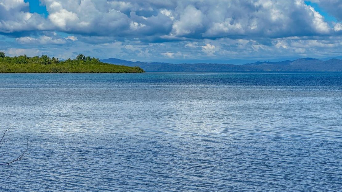 serene house 3km from the world’s top biodiversity hotspot