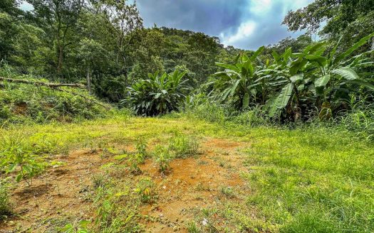 Large Jungle Lot for Sale in Ojochal Costa Rica