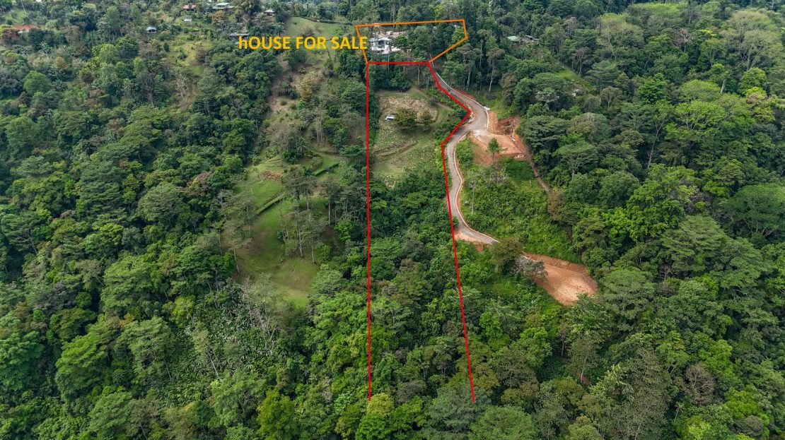 Mountain & Valley View Lot with Two Large Plantels