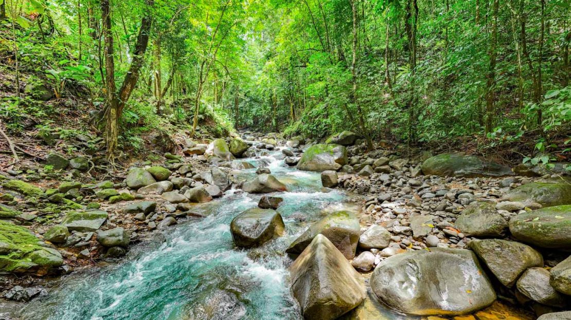 Jungle Lot with River Border – Walk to Plaza Ventanas