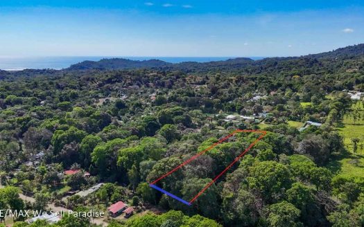 A large jungle-clad piece of land with mountain views, internal creek, and river frontage