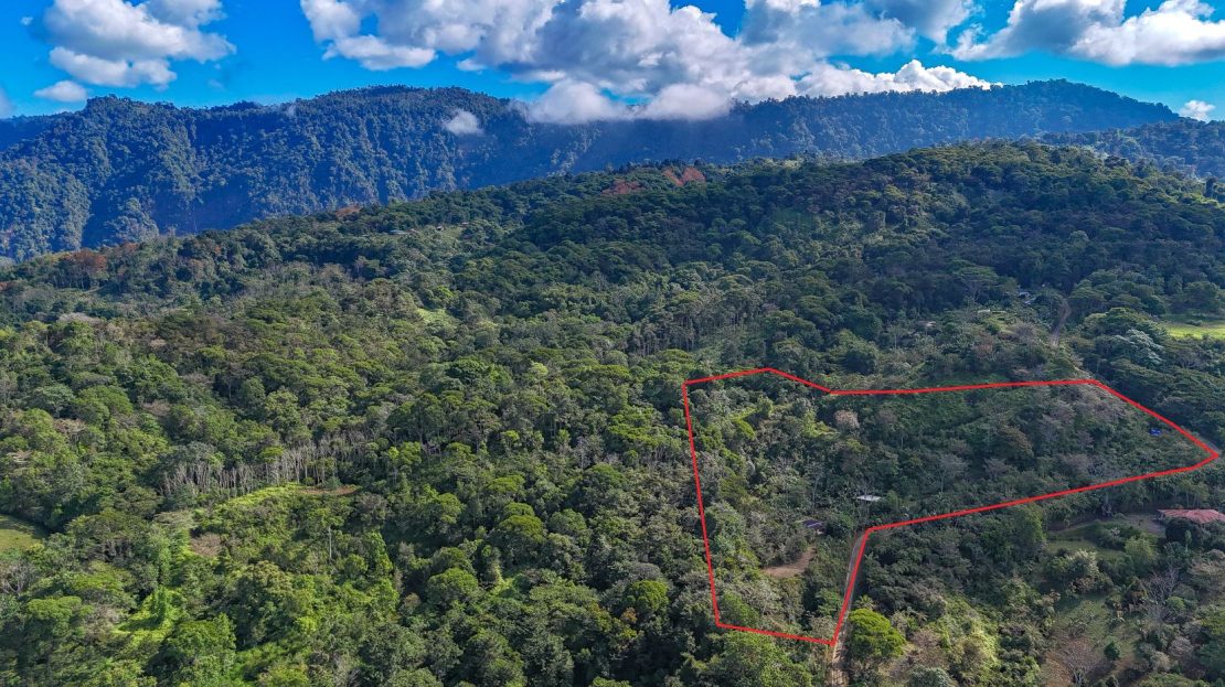 large carport and several plantels