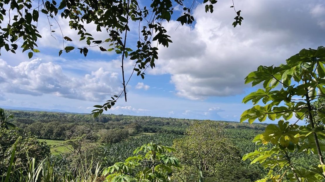 Lot for Sale in Tawal – Excellent Investment Opportunity