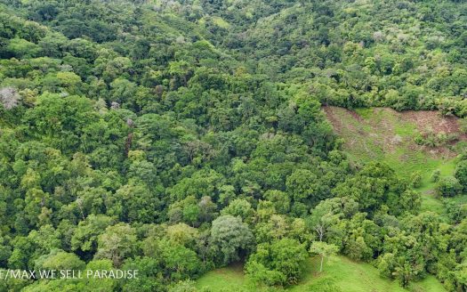 177 acre Ocean view property with multiple plantels, unspoiled mountain, jungle, river and waterfall areas.