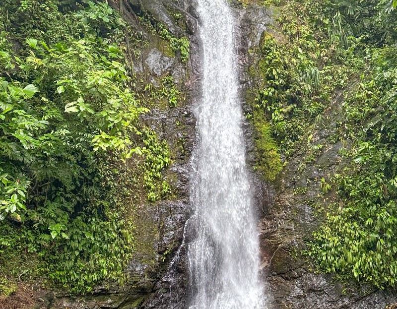 Mountain And Ocean Views