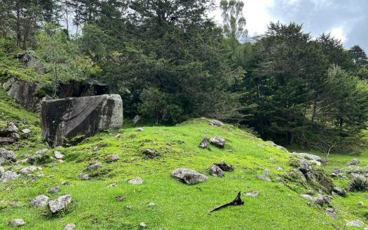 Herradura Farm for Sale: 107-Hectare (264.4 acres) Water and Forest Reserve in Chirripó