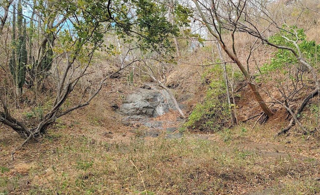 Montaña del Mar ~ A Gated Community Immersed in Nature and Near the Coast