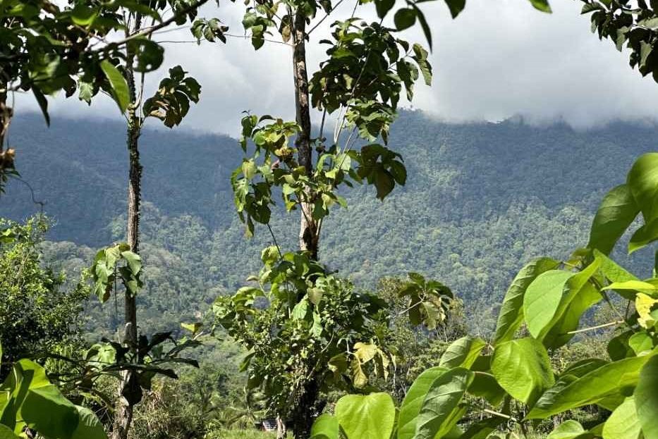 Costa Rica Real Estate