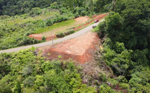 Gorgeous ocean view lot