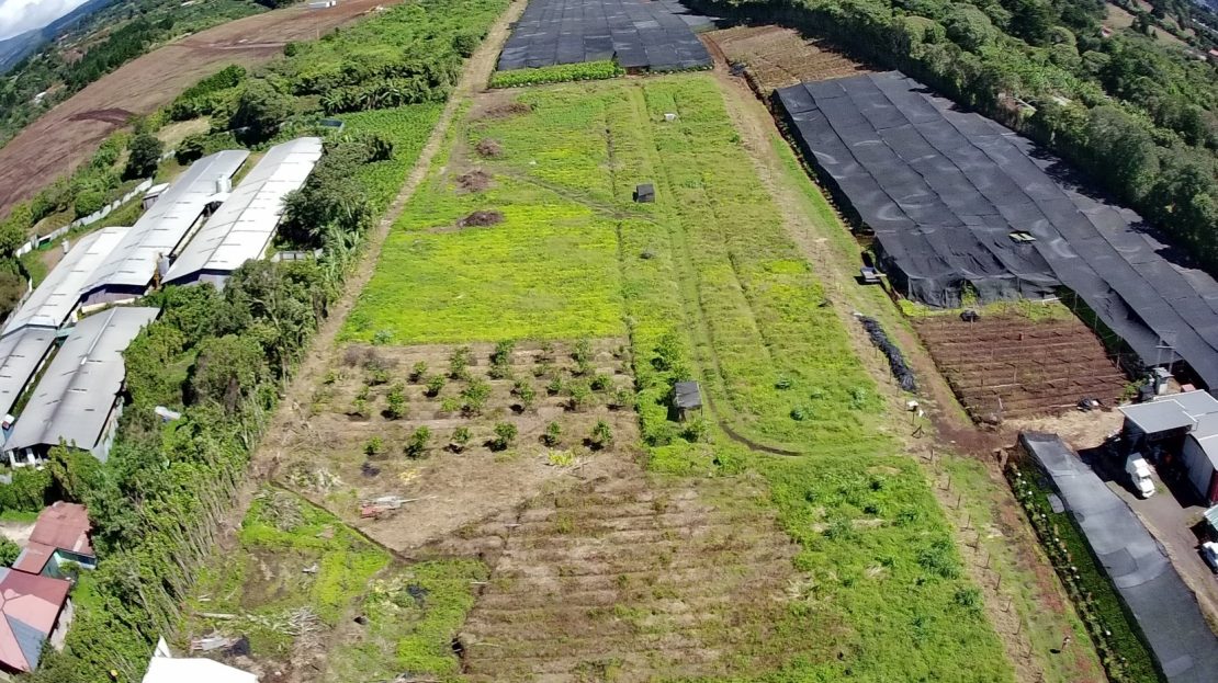 Costa Rica Real Estate