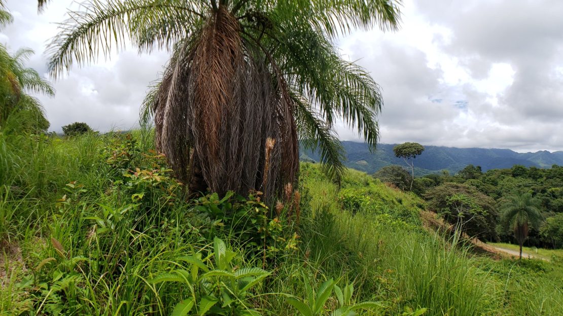 Ready to build lot 19 in Chontales