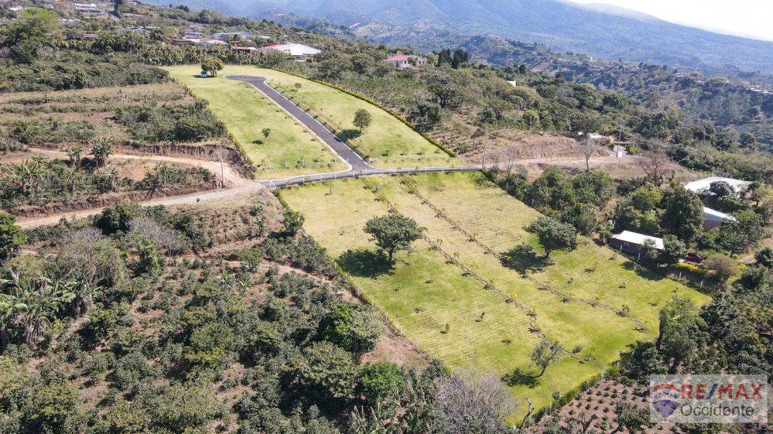 Amazin land For Sale