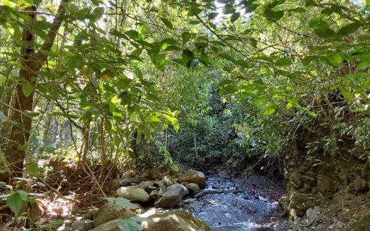 Ample mixed property between jungle and farmland in Ciudad Cortes.