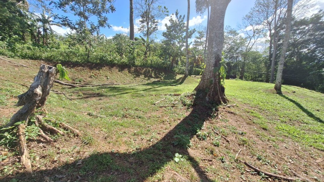 Bajo Rodriguez San Ramon