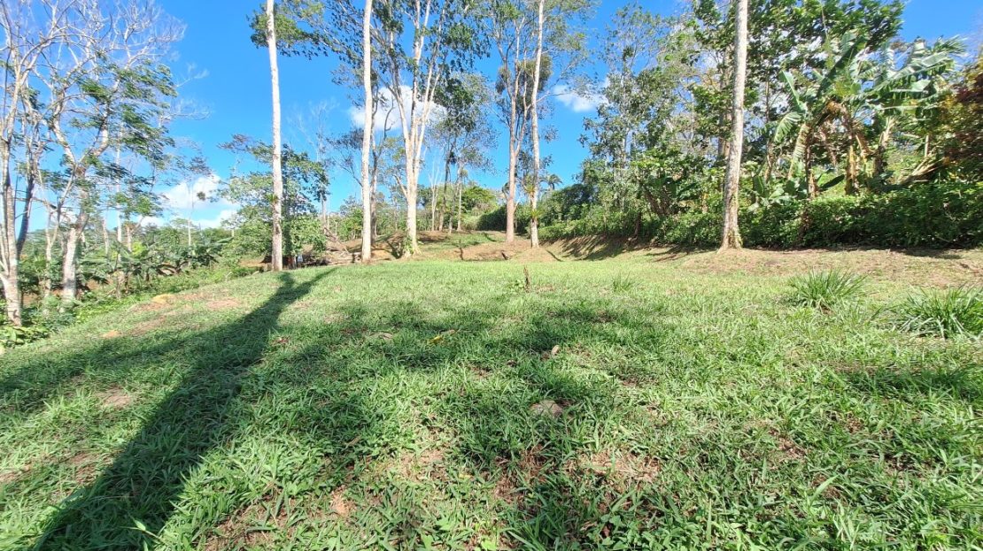 Costa Rica Real Estate