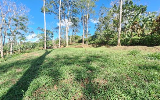 Land for sale, Bajo Rodriguez San Ramon